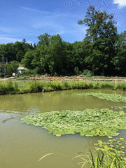 IMG_0550_t.gif