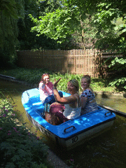 IMG_0553_t.gif