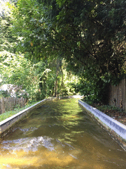 IMG_0562_t.gif