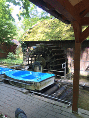 IMG_0564_t.gif