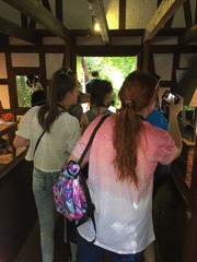 IMG_0569_t.gif
