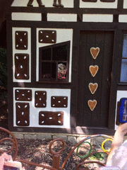 IMG_0581_t.gif