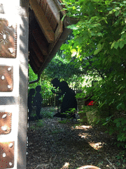 IMG_0583_t.gif