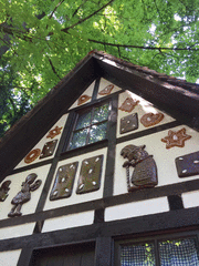 IMG_0584_t.gif