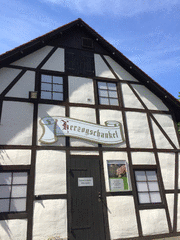IMG_0597_t.gif