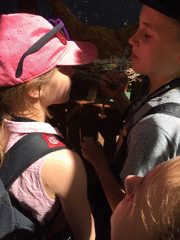 IMG_0601_t.gif