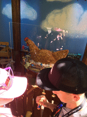 IMG_0604_t.gif