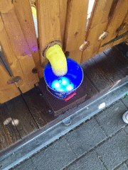 IMG_0609_t.gif