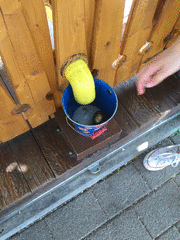 IMG_0610_t.gif