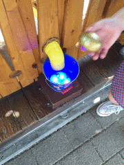 IMG_0611_t.gif