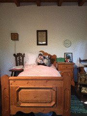 IMG_0616_t.gif