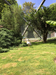 IMG_0633_t.gif
