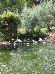 IMG_0637_t.gif