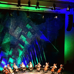 IMG_0683_t.gif