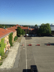 IMG_0687_t.gif