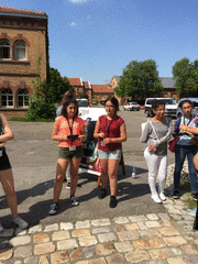IMG_0730_t.gif