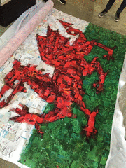 IMG_0733_t.gif