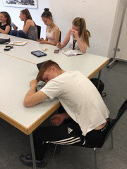 IMG_0762_t.gif