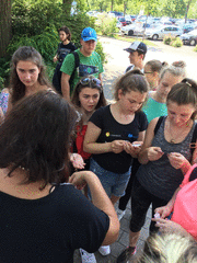 IMG_0893_t.gif