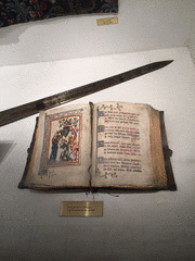 IMG_0910_t.gif