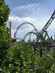 IMG_0923_t.gif