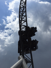 IMG_0924_t.gif