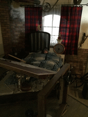 IMG_0929_t.gif