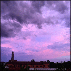 IMG_1005_t.gif