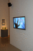 DSC_0842_1_t.gif