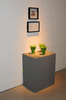 DSC_0848_1_t.gif