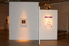 DSC_0849_1_t.gif