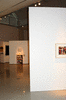 DSC_0875_1_t.gif