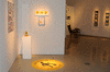 DSC_0941_1_t.gif