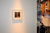 DSC_0980_1_t.gif