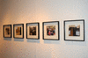 DSC_1009_1_t.gif