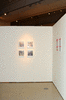 DSC_1018_1_t.gif