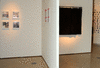 DSC_1021_1_t.gif