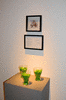 DSC_1060_1_t.gif