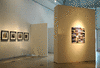 DSC_1136_1_t.gif