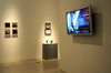 DSC_1169_1_t.gif