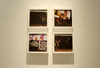 DSC_1171_1_t.gif