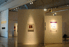 DSC_1175_1_t.gif