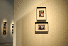 DSC_1178_1_t.gif