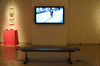 DSC_1188_1_t.gif