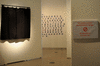 DSC_1245_1_t.gif