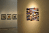 DSC_1250_1_t.gif