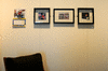 DSC_1267_1_t.gif