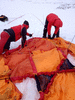 IMG_1584_1_t.gif