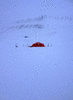 IMG_1800_1_t.gif