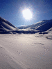 IMG_1888_1_t.gif